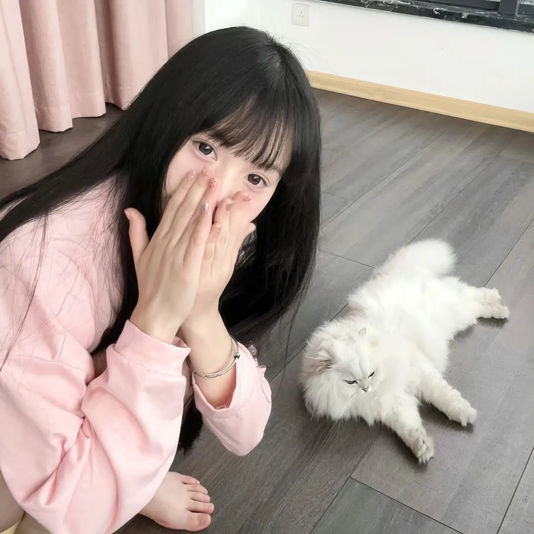 新不了情